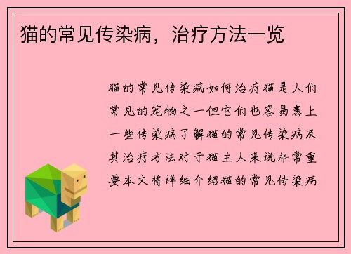 猫的常见传染病，治疗方法一览
